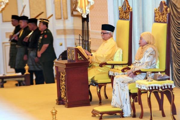 Tuanku Muhriz: 选举代表必须成为人民的声音