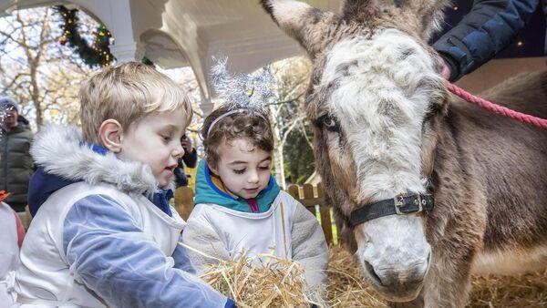 'It's a gift from farmers': Live animal crib returns to the Mansion House for Christmas